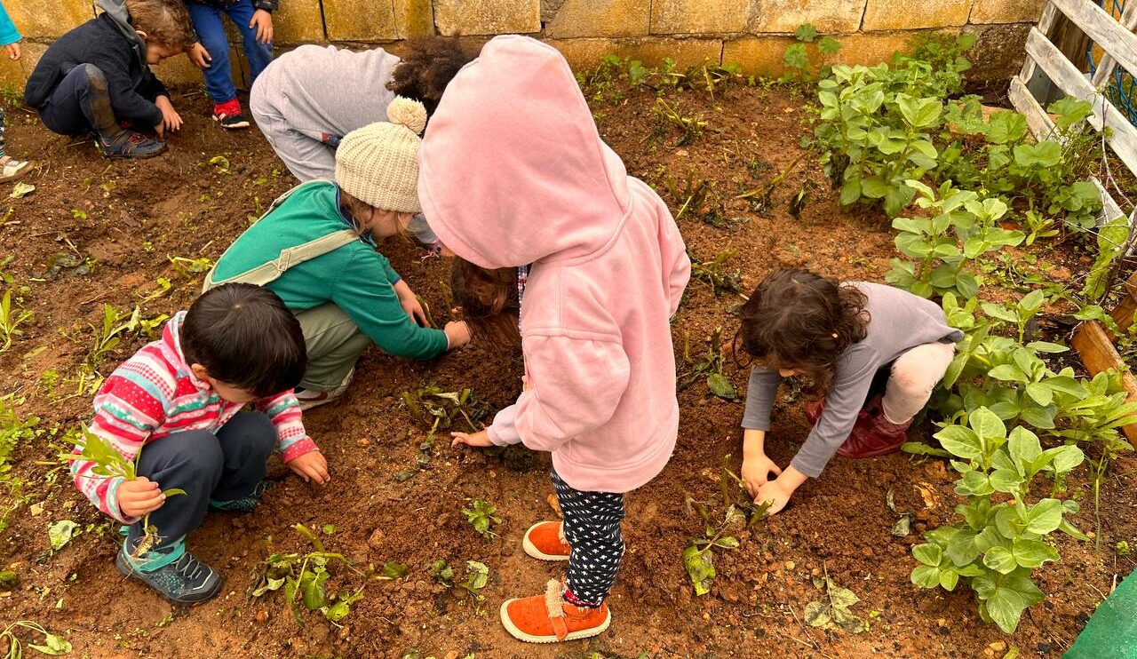 niñas y niños en el huerto