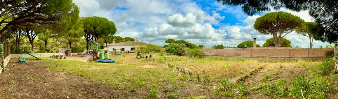 vista del jardin amplia