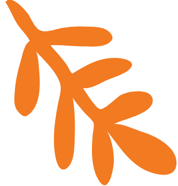 Formas y colores de la naturaleza copia 2