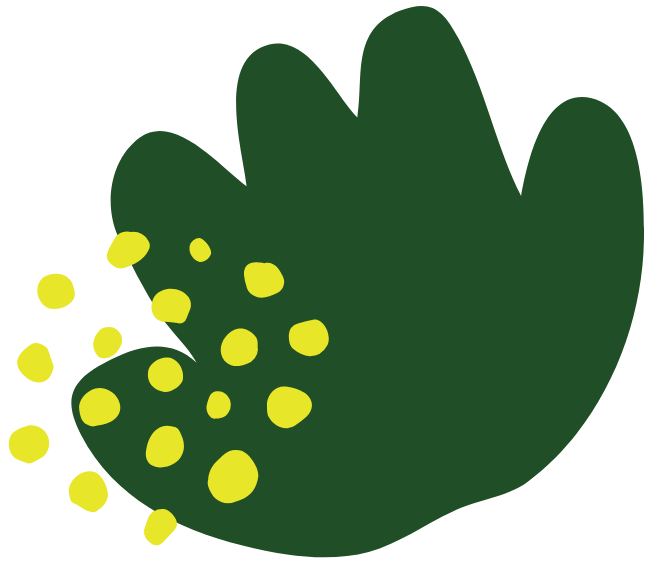 Formas y colores de la naturaleza 