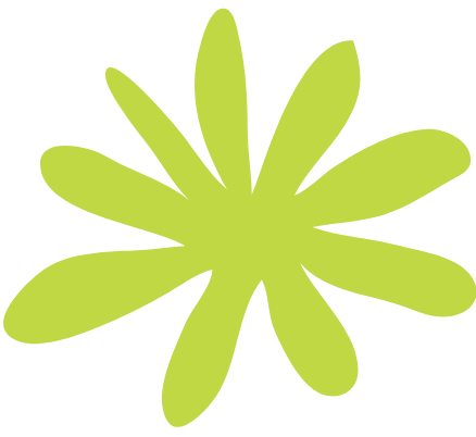 Formas y colores de la naturaleza